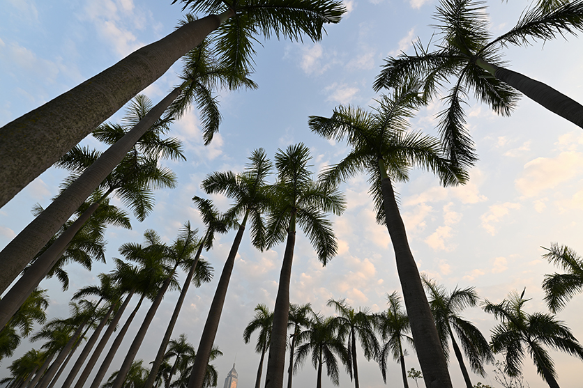 16-30mm F2.8 G2 A064 sample picture landscape