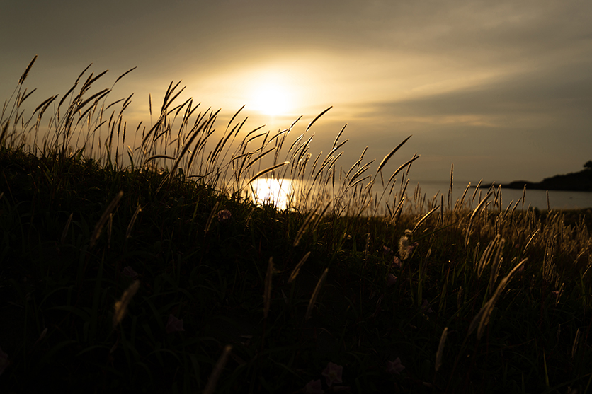 16-30mm F2.8 G2 A064 sample picture landscape