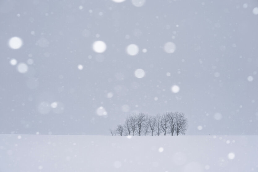 雪と玉ボケ