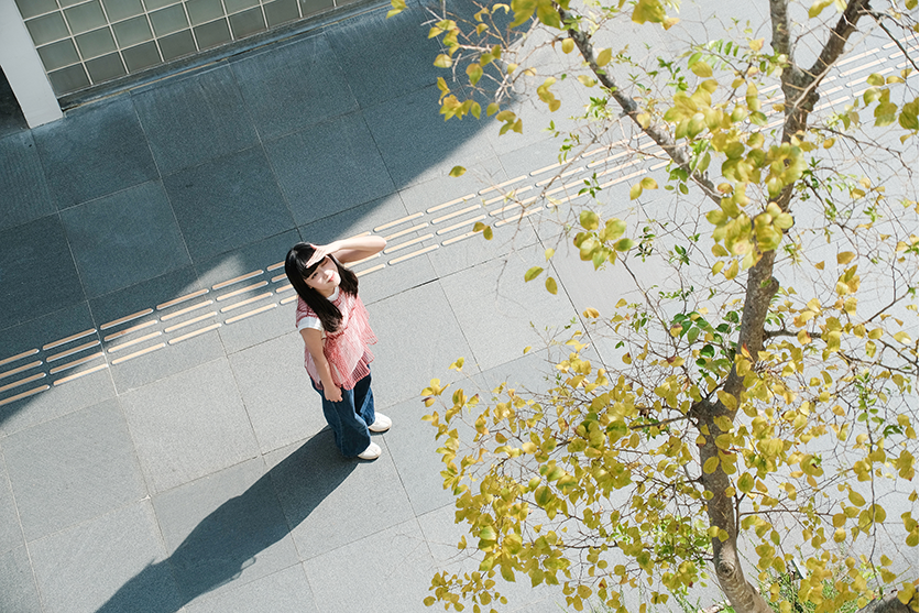 When to use a standard lens?