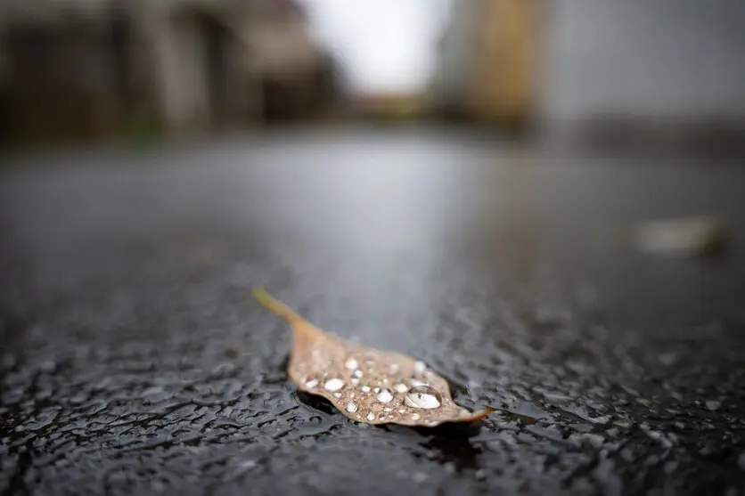 How to take photos on a rainy day
