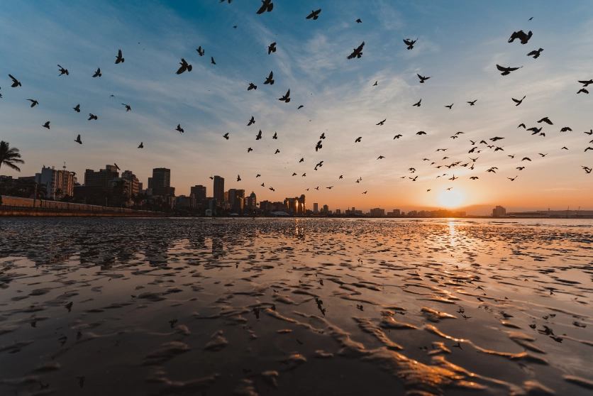Capturing the different expressions of the sea depending on the time of day