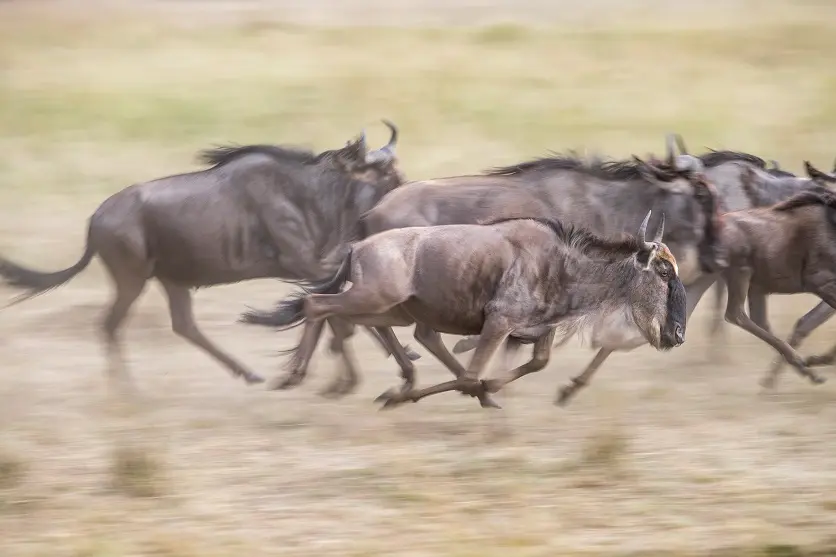 The shutter speed is based on 1/60 seconds