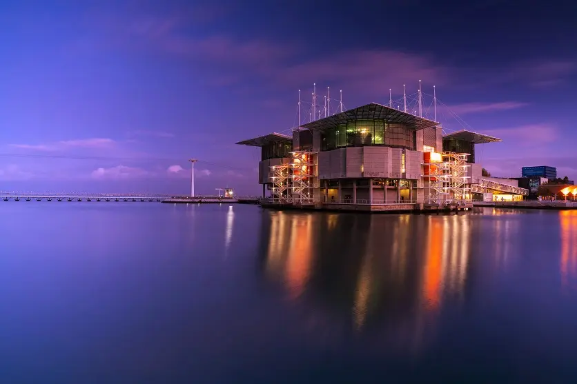 Wide-angle lenses emphasize perspective