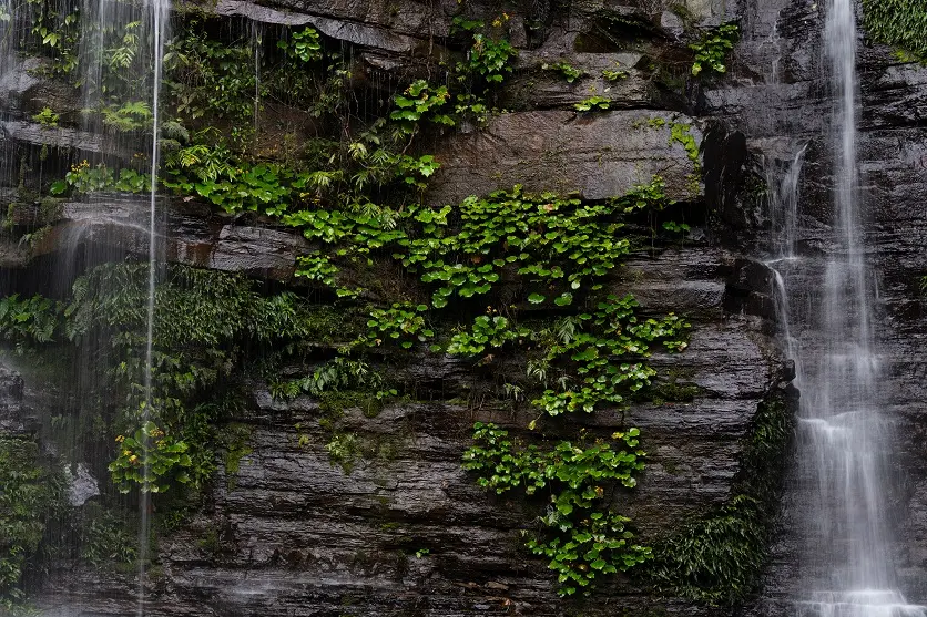 Natural Texture