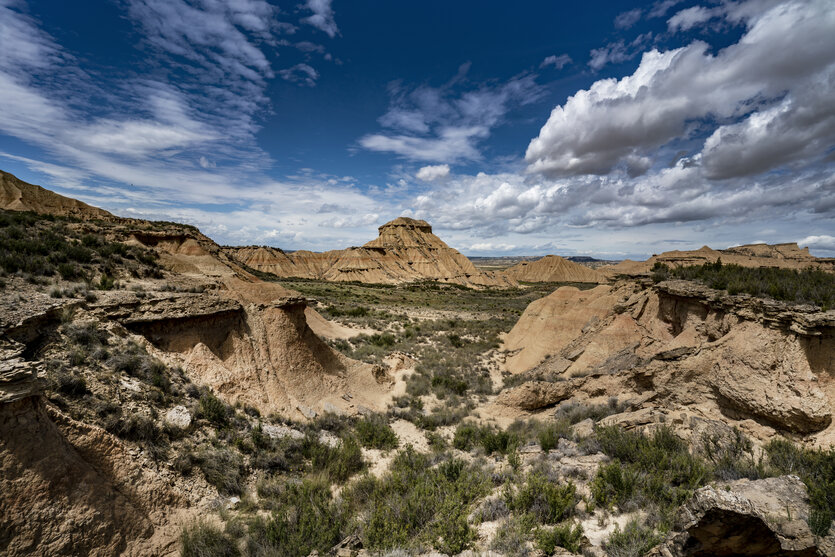 Landscape