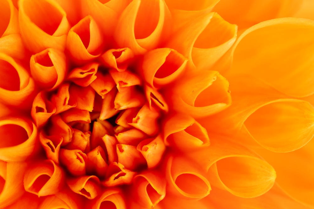 Photo taken by TAMRON Fixed Focal lens