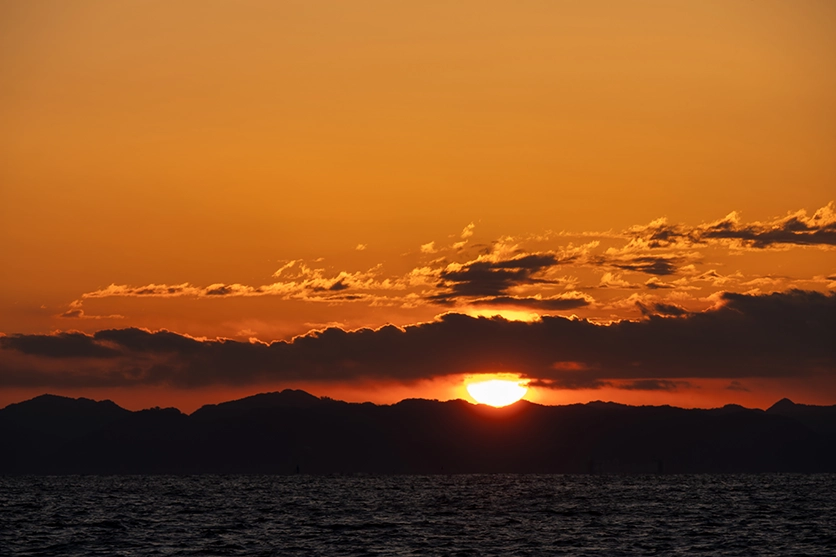 タムロン 50-300mm F/4.5-6.3 Di III VC VXD (Model A069)