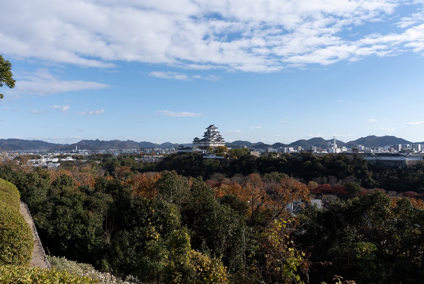 焦点距離25mm